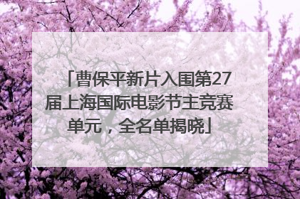 曹保平新片入围第27届上海国际电影节主竞赛单元，全名单揭晓