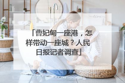 曹妃甸一座港，怎样带动一座城？人民日报记者调查