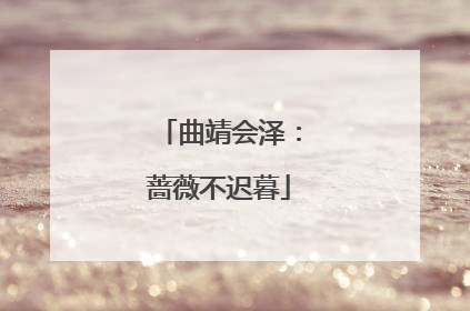 曲靖会泽：蔷薇不迟暮