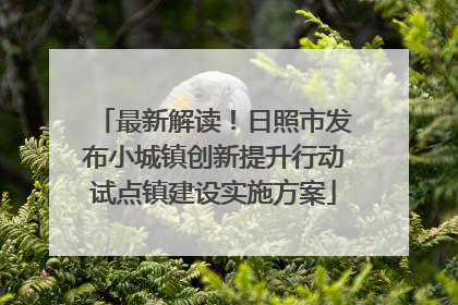 最新解读！日照市发布小城镇创新提升行动试点镇建设实施方案