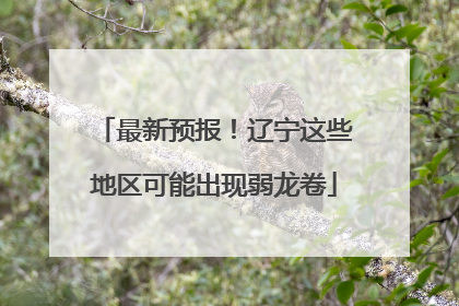 最新预报！辽宁这些地区可能出现弱龙卷