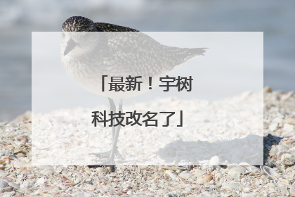 最新！宇树科技改名了
