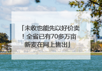 未收也能先以好价卖！全省已有70多万亩新麦在网上售出