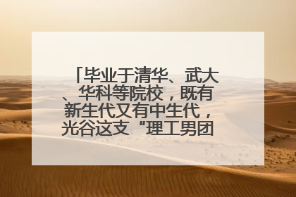 毕业于清华、武大、华科等院校，既有新生代又有中生代，光谷这支“理工男团”为何“出道”？
