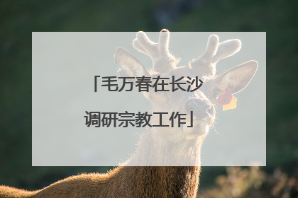 毛万春在长沙调研宗教工作