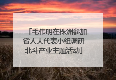 毛伟明在株洲参加省人大代表小组调研北斗产业主题活动