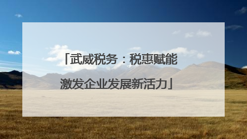 武威税务：税惠赋能 激发企业发展新活力