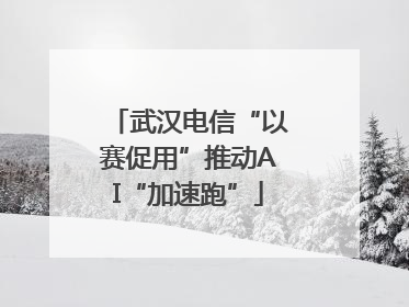 武汉电信“以赛促用”推动AI“加速跑”