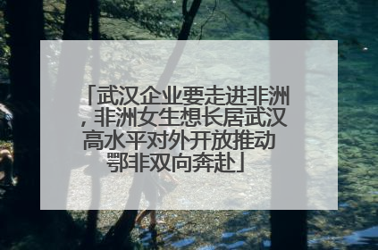 武汉企业要走进非洲，非洲女生想长居武汉 高水平对外开放推动鄂非双向奔赴