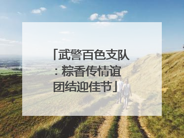 武警百色支队：粽香传情谊 团结迎佳节