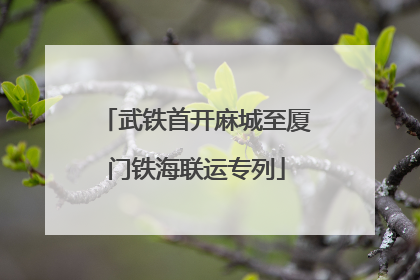武铁首开麻城至厦门铁海联运专列