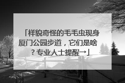 样貌奇怪的毛毛虫现身厦门公园步道，它们是啥？专业人士提醒→