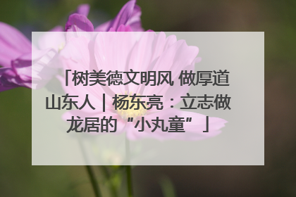 树美德文明风 做厚道山东人｜杨东亮：立志做龙居的“小丸童”