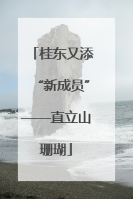 桂东又添“新成员”——直立山珊瑚