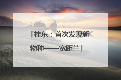 桂东：首次发现新物种——宽距兰