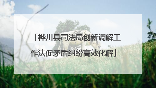 桦川县司法局创新调解工作法促矛盾纠纷高效化解