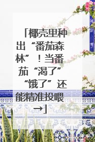 椰壳里种出“番茄森林”！当番茄“渴了”“饿了”还能精准投喂→