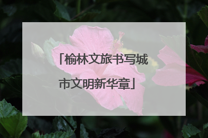 榆林文旅书写城市文明新华章