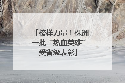 榜样力量！株洲一批“热血英雄”受省级表彰