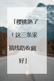 樱桃熟了！这三条采摘线路收藏好