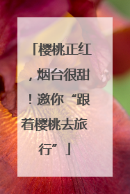 樱桃正红，烟台很甜！邀你“跟着樱桃去旅行”