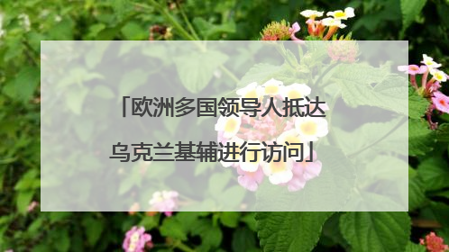 欧洲多国领导人抵达乌克兰基辅进行访问