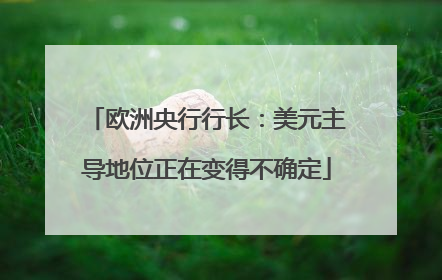 欧洲央行行长：美元主导地位正在变得不确定