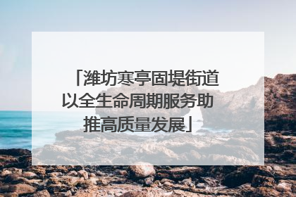 潍坊寒亭固堤街道以全生命周期服务助推高质量发展