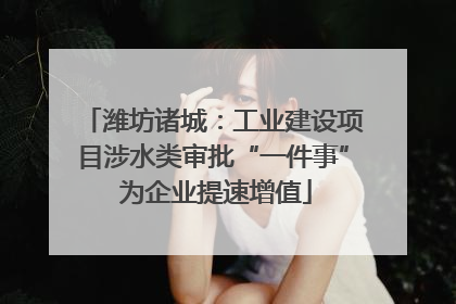 潍坊诸城：工业建设项目涉水类审批“一件事” 为企业提速增值
