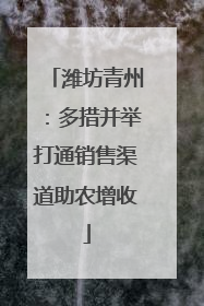 潍坊青州：多措并举打通销售渠道助农增收