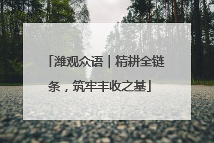 潍观众语｜精耕全链条，筑牢丰收之基