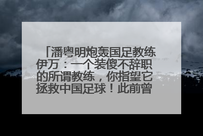 潘粤明炮轰国足教练伊万：一个装傻不辞职的所谓教练，你指望它拯救中国足球！此前曾多次发文评价国足