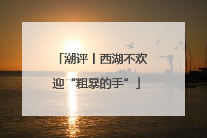 潮评丨西湖不欢迎“粗暴的手”