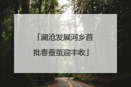 澜沧发展河乡首批春蚕茧迎丰收