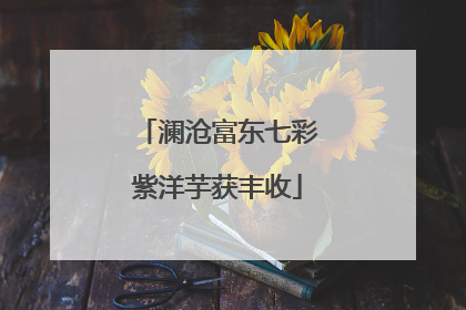 澜沧富东七彩紫洋芋获丰收
