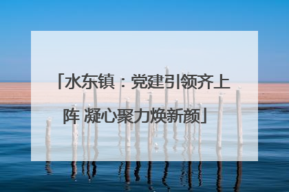 水东镇：党建引领齐上阵 凝心聚力焕新颜