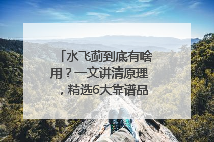水飞蓟到底有啥用？一文讲清原理，精选6大靠谱品牌助你科学养生