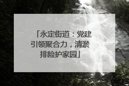永定街道：党建引领聚合力，清淤排险护家园