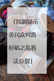 民调显示美民众对洛杉矶之乱看法分裂
