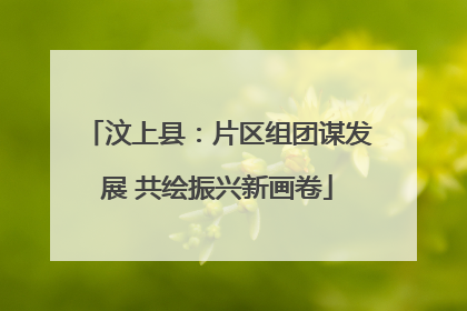 汶上县：片区组团谋发展 共绘振兴新画卷