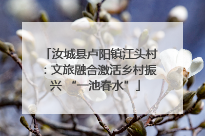 汝城县卢阳镇江头村：文旅融合激活乡村振兴 “一池春水”