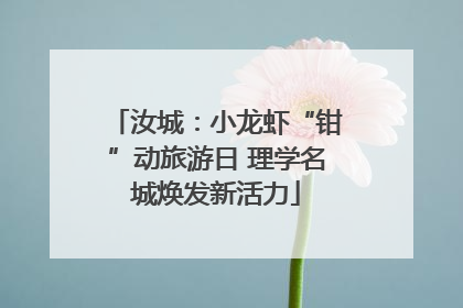 汝城：小龙虾“钳”动旅游日 理学名城焕发新活力