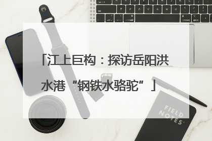 江上巨构：探访岳阳洪水港“钢铁水骆驼”