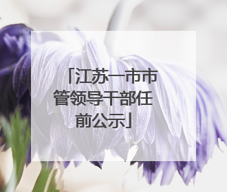 江苏一市市管领导干部任前公示