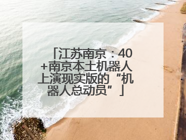 江苏南京：40+南京本土机器人上演现实版的“机器人总动员”