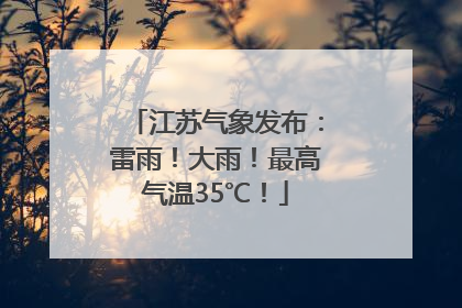 江苏气象发布：雷雨！大雨！最高气温35℃！