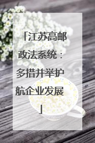 江苏高邮政法系统：多措并举护航企业发展