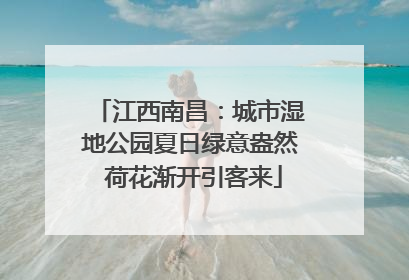 江西南昌：城市湿地公园夏日绿意盎然 荷花渐开引客来