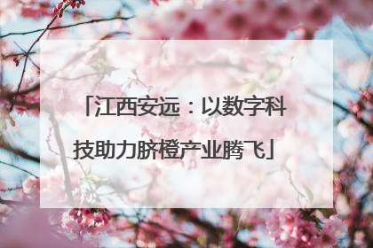 江西安远：以数字科技助力脐橙产业腾飞