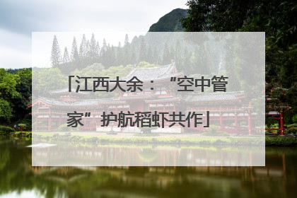 江西大余：“空中管家”护航稻虾共作
